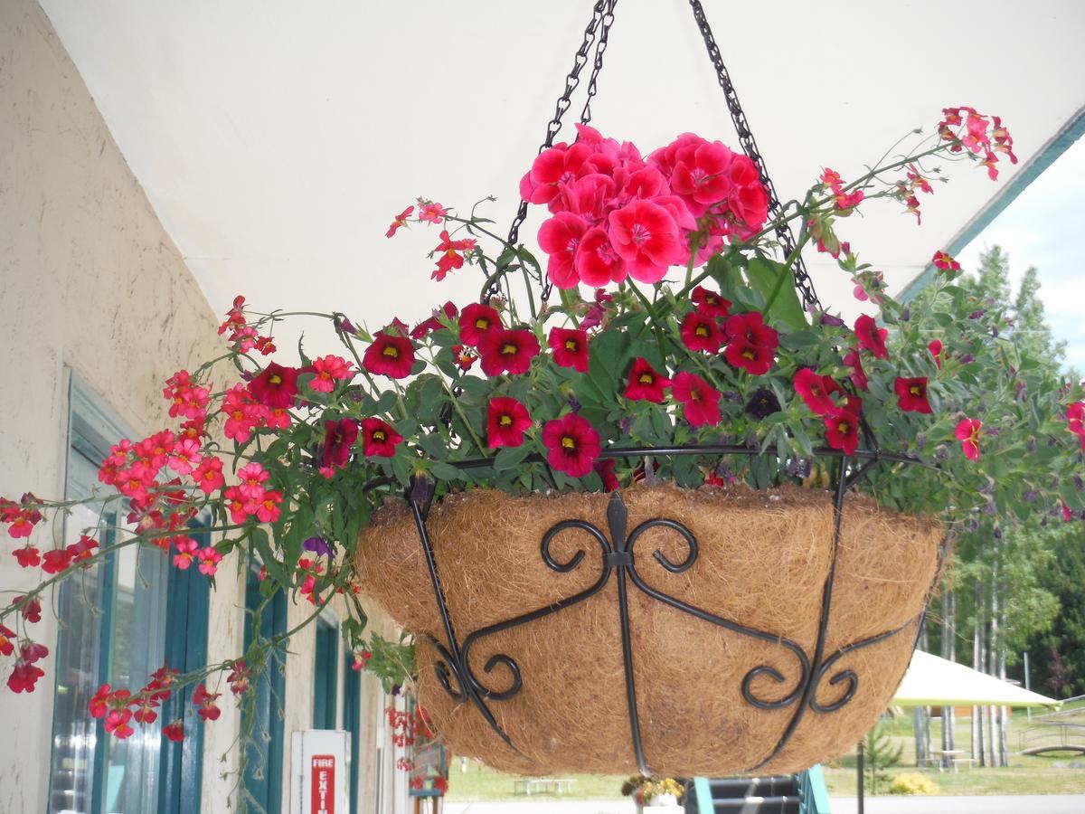 Robber'S Roost Motel New Hazelton エクステリア 写真